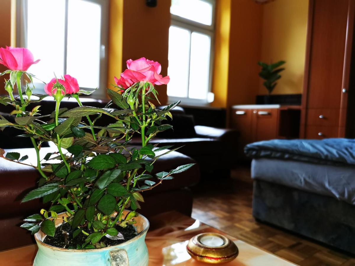 Lehel Apartman Кестхей Екстер'єр фото